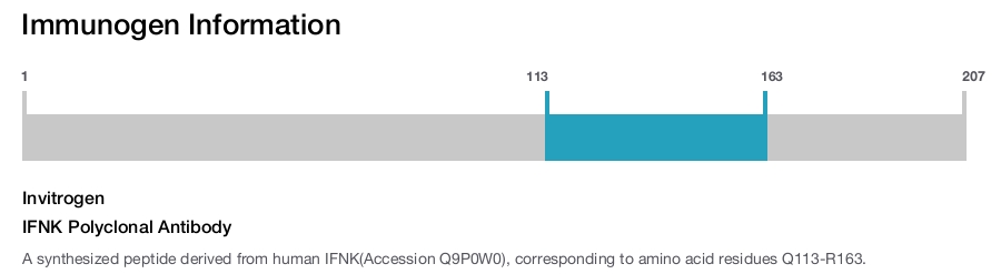 IFNK Polyclonal Antibody