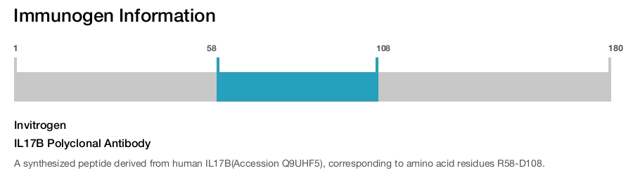 IL17B Polyclonal Antibody