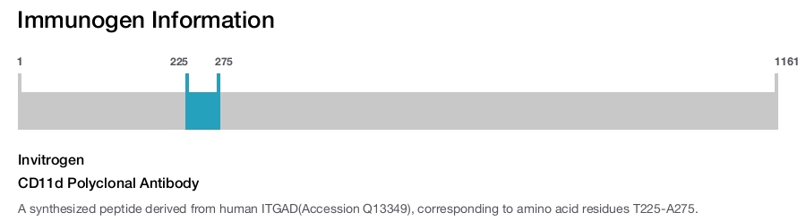CD11d Polyclonal Antibody