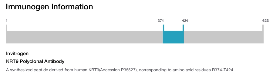 KRT9 Polyclonal Antibody