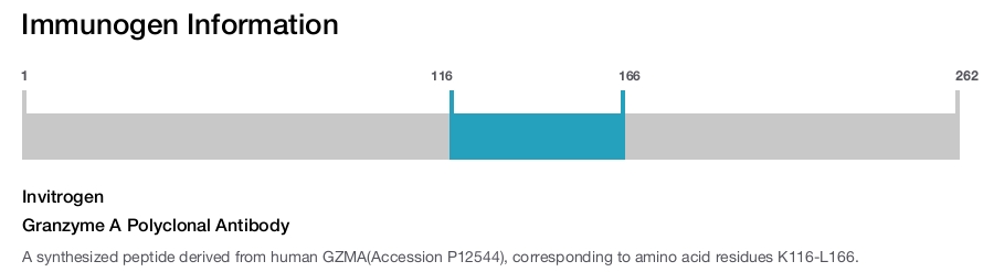 Granzyme A Polyclonal Antibody
