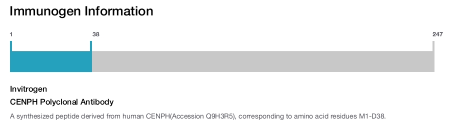 CENPH Polyclonal Antibody