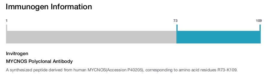 MYCNOS Polyclonal Antibody