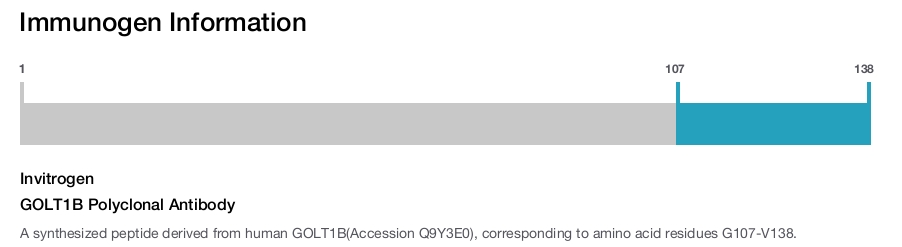 GOLT1B Polyclonal Antibody