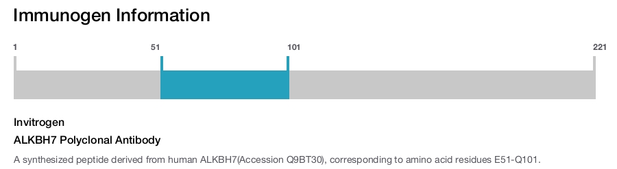 ALKBH7 Polyclonal Antibody
