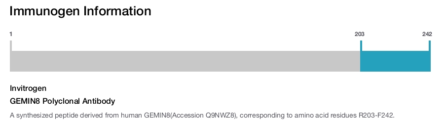 GEMIN8 Polyclonal Antibody