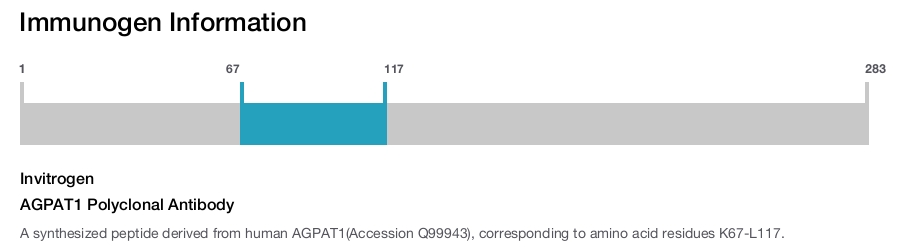 AGPAT1 Polyclonal Antibody