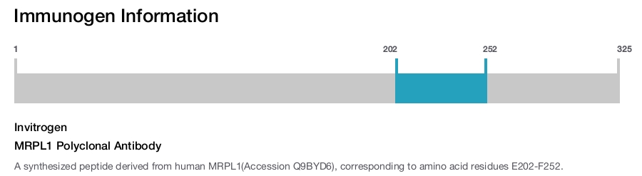 MRPL1 Polyclonal Antibody