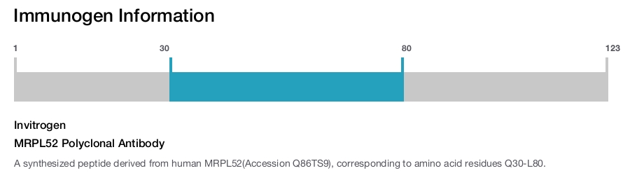 MRPL52 Polyclonal Antibody