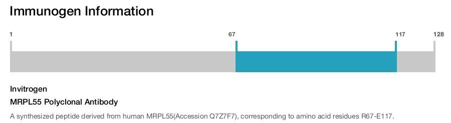 MRPL55 Polyclonal Antibody
