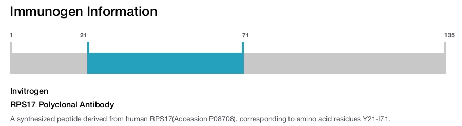 RPS17 Polyclonal Antibody