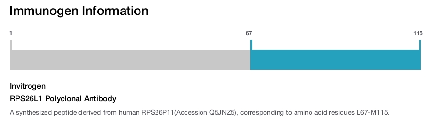 RPS26L1 Polyclonal Antibody