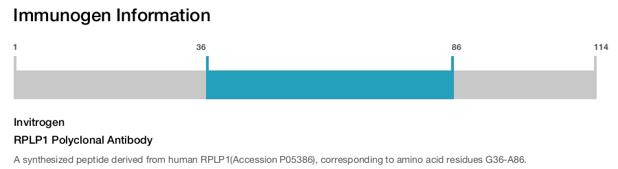RPLP1 Polyclonal Antibody