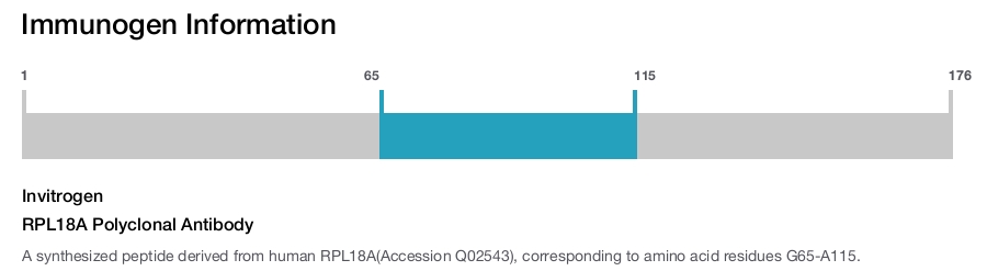 RPL18A Polyclonal Antibody