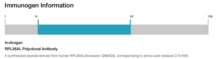 RPL36AL Polyclonal Antibody