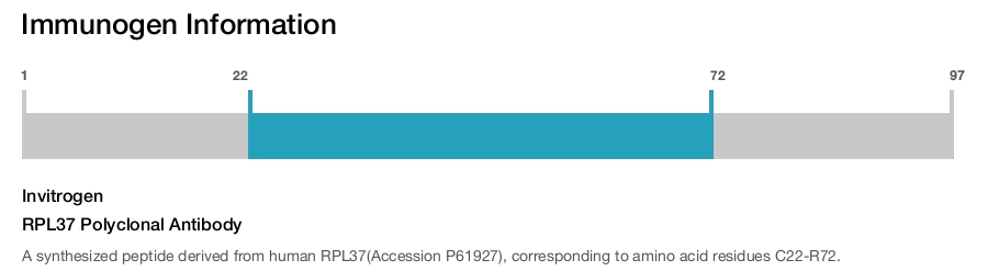 RPL37 Polyclonal Antibody