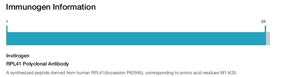 RPL41 Polyclonal Antibody