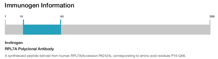 RPL7A Polyclonal Antibody