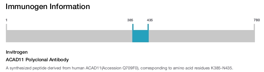 ACAD11 Polyclonal Antibody