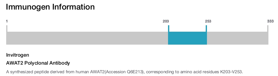 AWAT2 Polyclonal Antibody