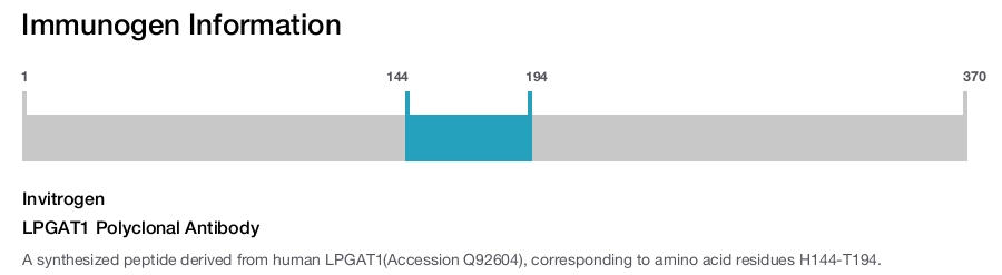 LPGAT1 Polyclonal Antibody