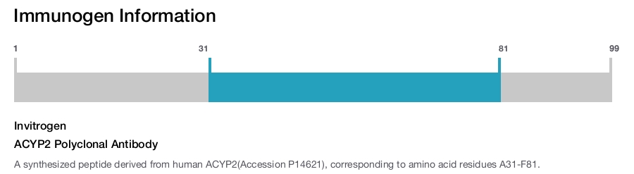 ACYP2 Polyclonal Antibody