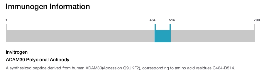ADAM30 Polyclonal Antibody