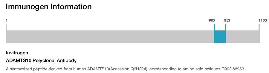 ADAMTS10 Polyclonal Antibody