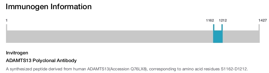 ADAMTS13 Polyclonal Antibody