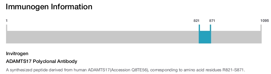 ADAMTS17 Polyclonal Antibody