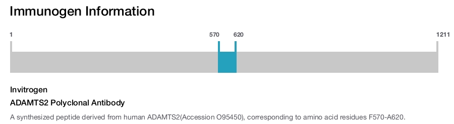 ADAMTS2 Polyclonal Antibody