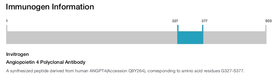Angiopoietin 4 Polyclonal Antibody