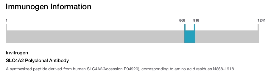 SLC4A2 Polyclonal Antibody