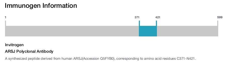 ARSJ Polyclonal Antibody