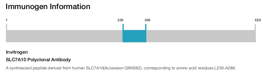 SLC7A10 Polyclonal Antibody