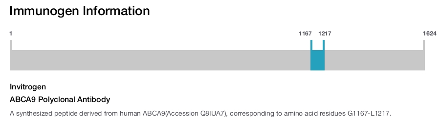 ABCA9 Polyclonal Antibody