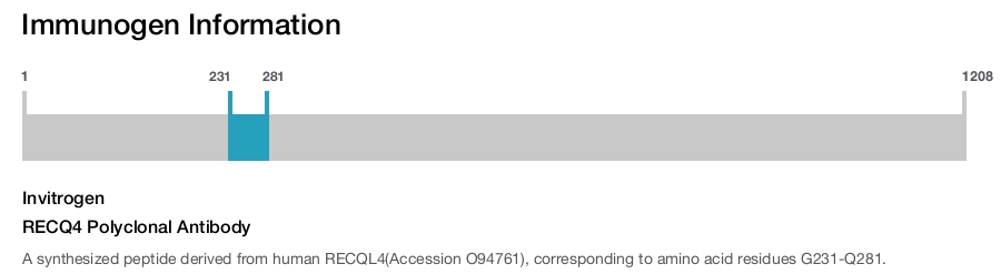 RECQ4 Polyclonal Antibody