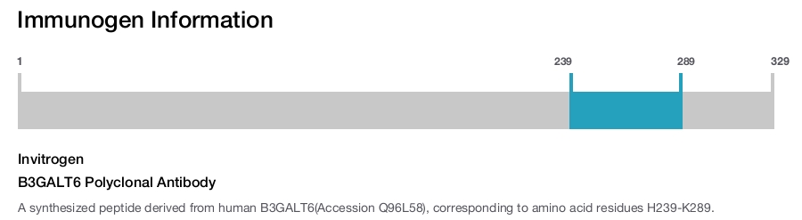 B3GALT6 Polyclonal Antibody
