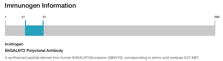 B4GALNT2 Polyclonal Antibody