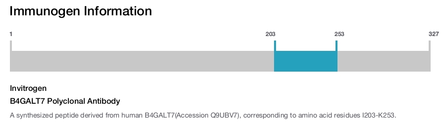 B4GALT7 Polyclonal Antibody