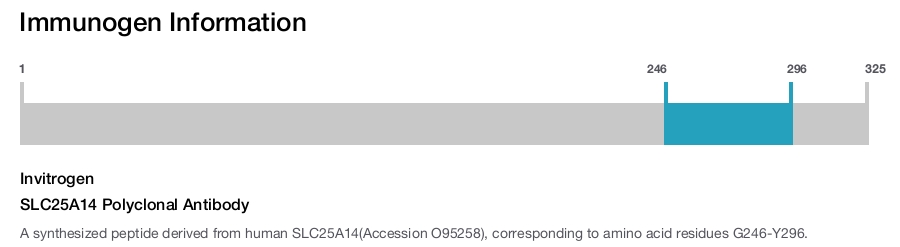 SLC25A14 Polyclonal Antibody