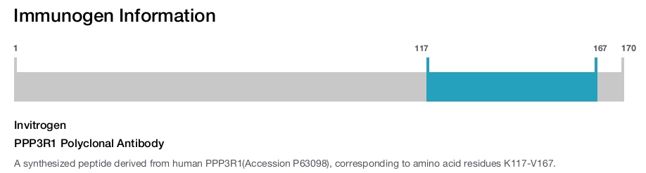 PPP3R1 Polyclonal Antibody