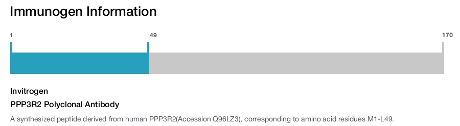 PPP3R2 Polyclonal Antibody