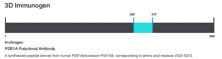 PDE1A Polyclonal Antibody