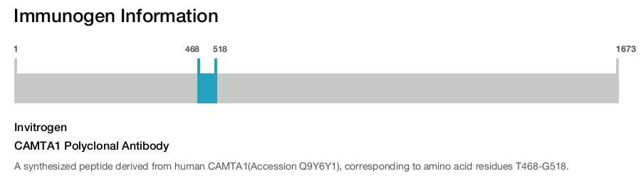 CAMTA1 Polyclonal Antibody