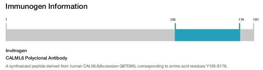CALML6 Polyclonal Antibody