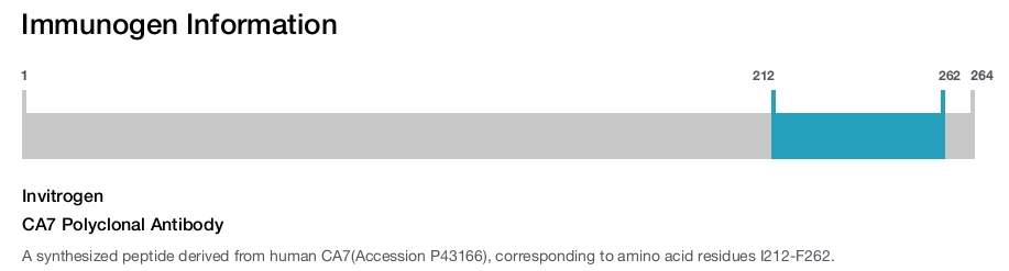CA7 Polyclonal Antibody