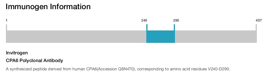 CPA6 Polyclonal Antibody