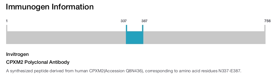 CPXM2 Polyclonal Antibody