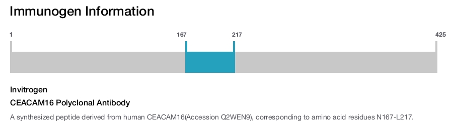 CEACAM16 Polyclonal Antibody